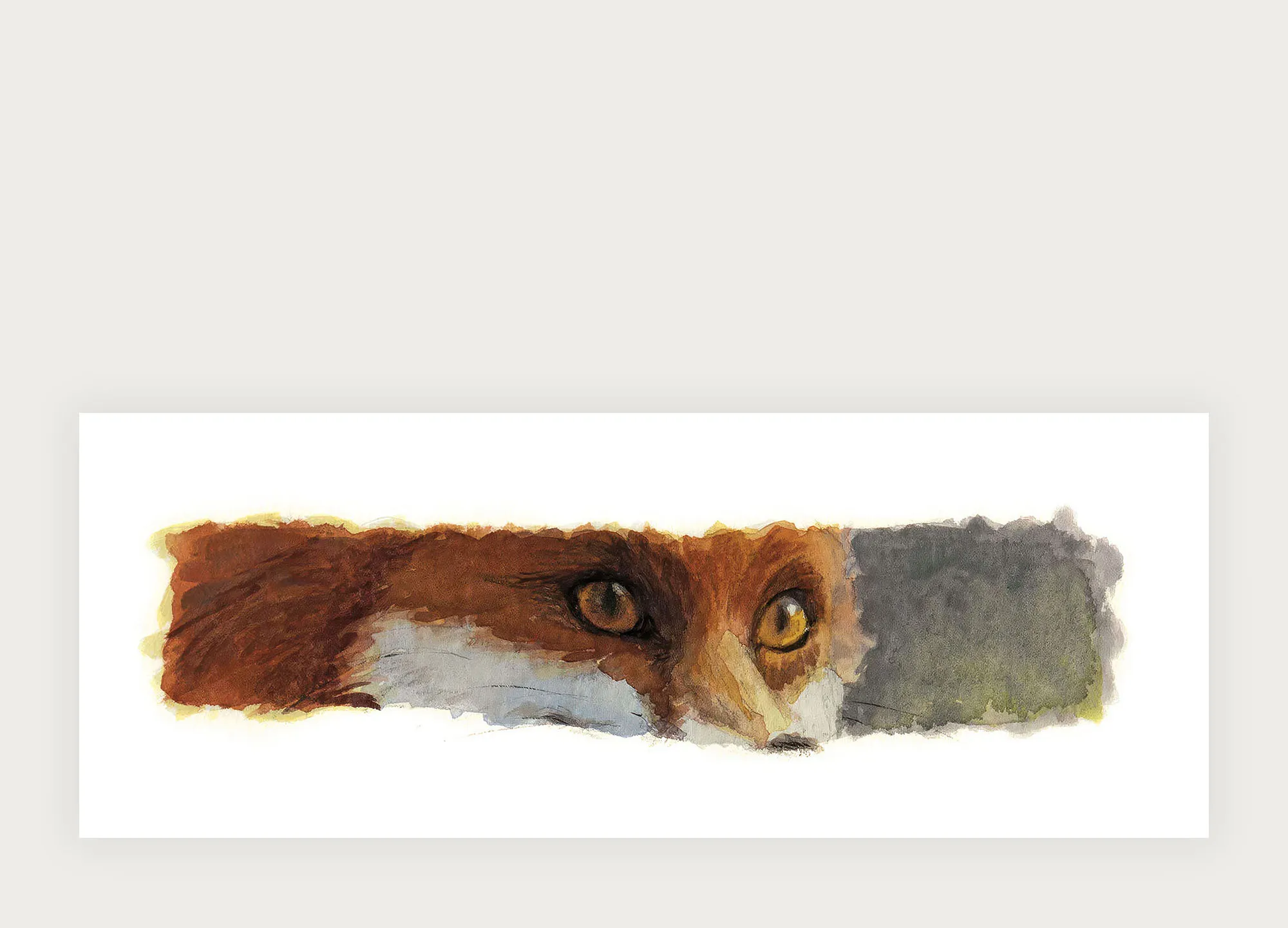 Renard