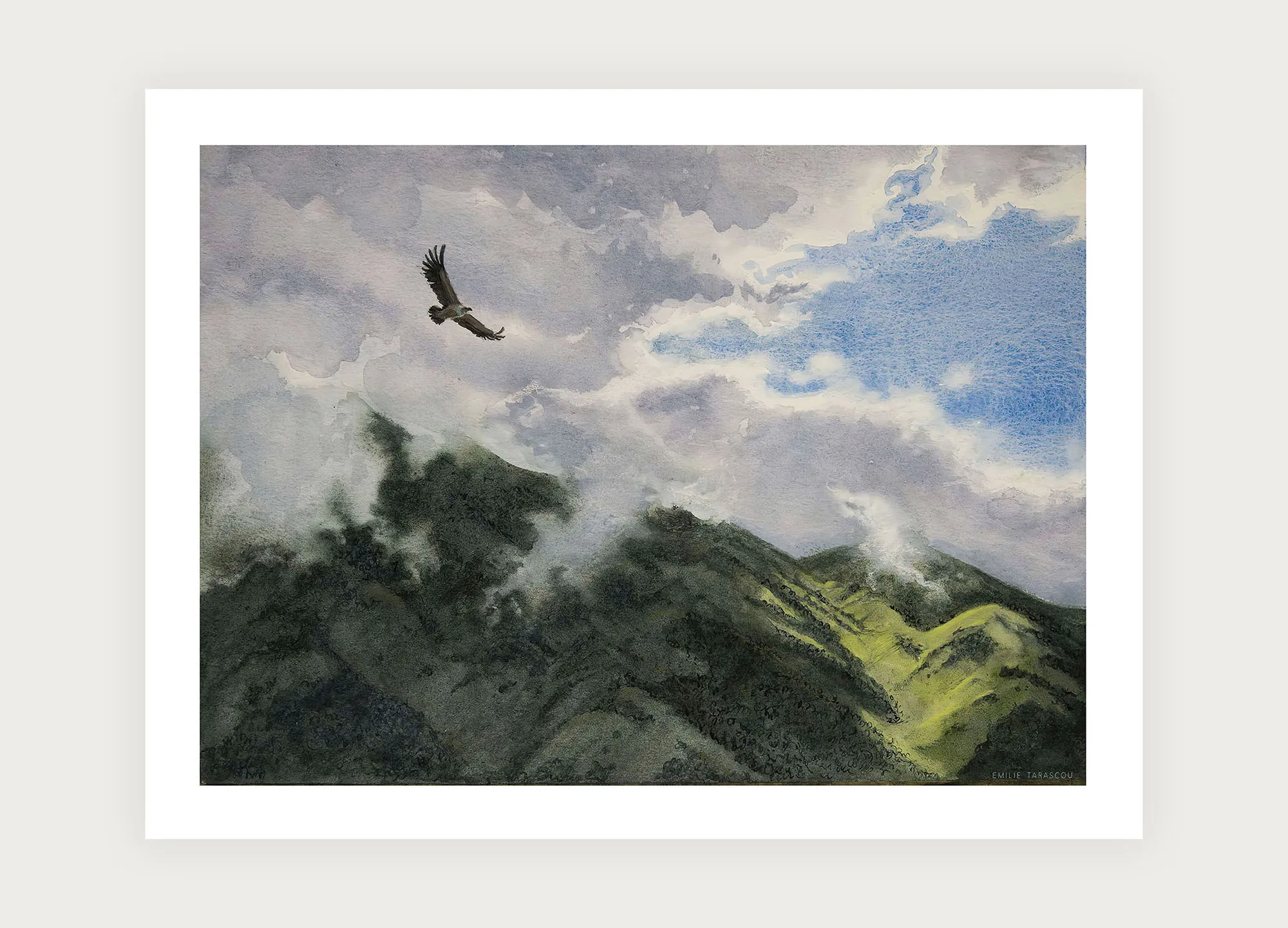 Vautour
